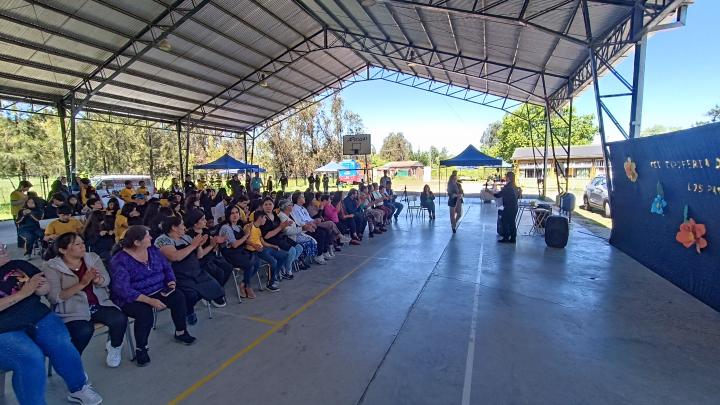 ceremonia colegio de Quilipin Museo de yerbas buenas